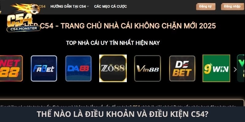 Thế nào là điều khoản và điều kiện C54?